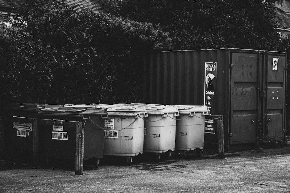 A row of five large white plastic wheelie bins with closed lids, positioned on a paved surface in front of a black metal container, which is partially visible. The wheelie bins are aligned side by side, with some packaging labels visible on them, indicating their contents are for waste disposal. To the left, there are two smaller black and brown bins labeled 'PAPER' and 'CARDBOARD ONLY.' The black container behind the bins is set against a background of dense foliage and trees, with a partially overhanging roof of a building visible at the top right. The scene is lit with natural daylight, and the area appears to be outside a residential or commercial property, possibly during a home relocation or during waste collection, a task frequently handled by professional removals services like Man and Van Merton. The overall setting emphasizes waste management as part of the moving process, highlighting clear separation of recyclables and general waste in preparation for disposal or transportation.